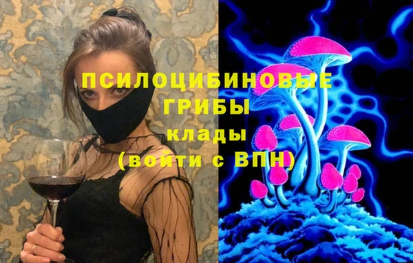 бошки Балахна