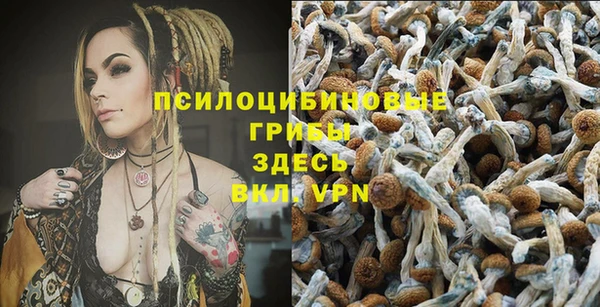твердый Грязовец