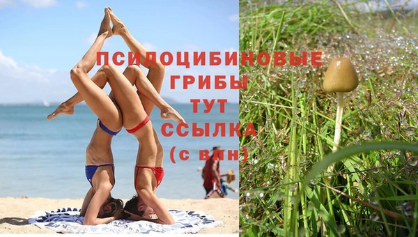 MESCALINE Богданович
